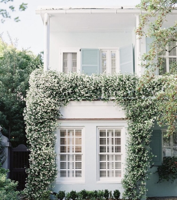 Elise in Charleston | Realtor for Home Buyers & Sellers | Elise Watt